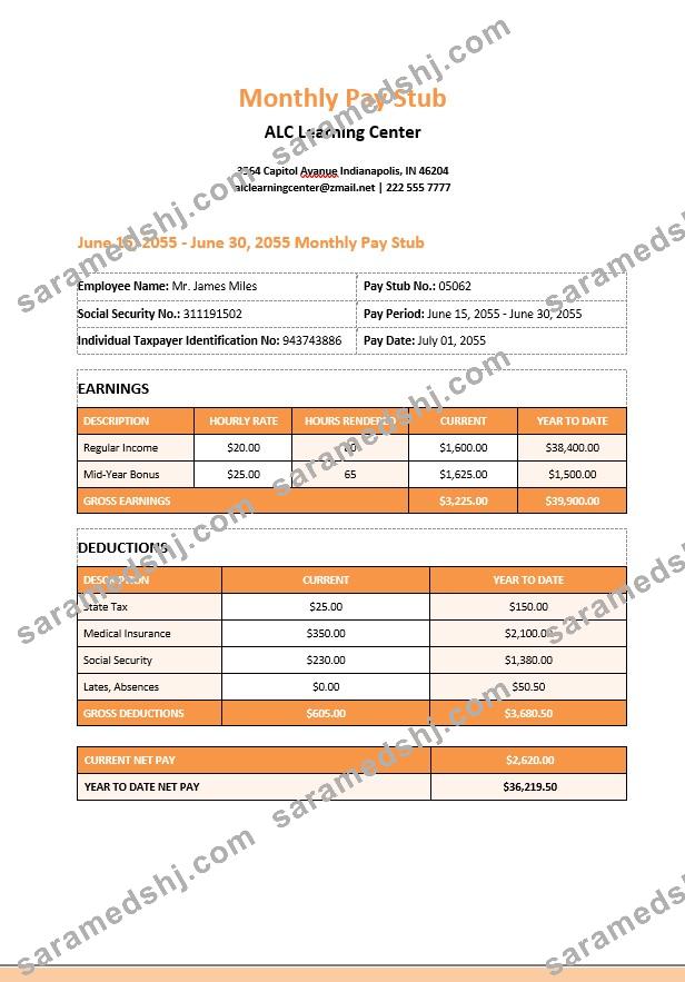 Learning Center Monthly Paystub Word and PDF template
